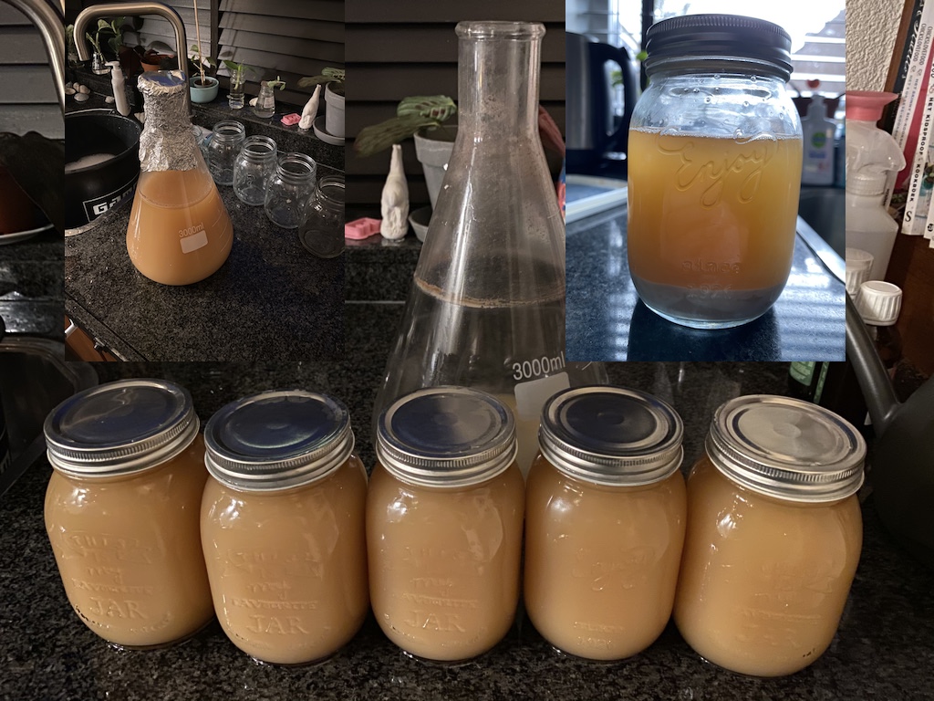 Yeast Cultivation