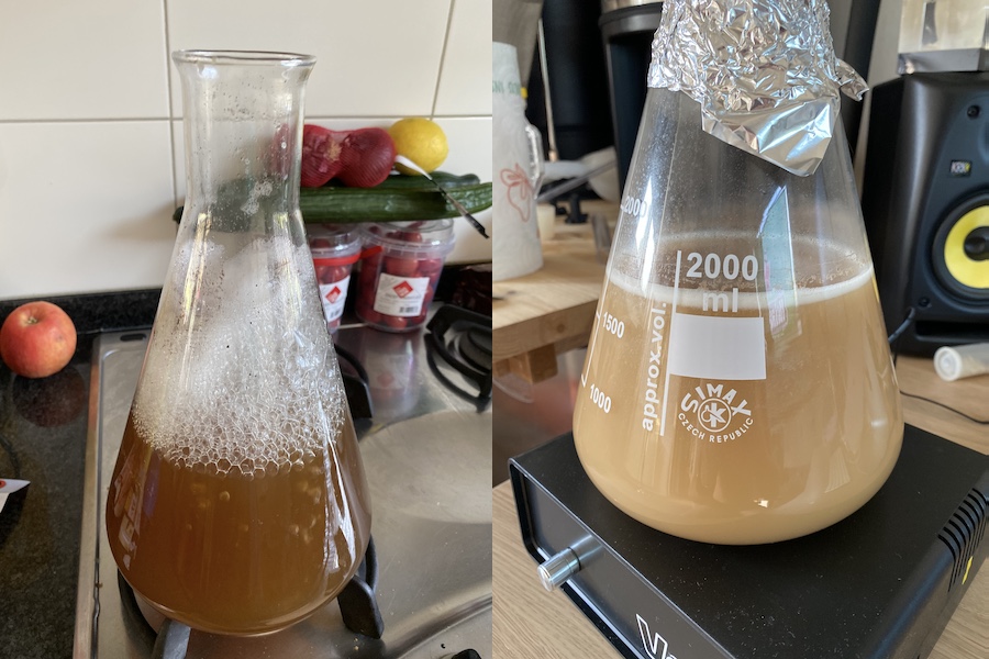 Cultivating the yeast